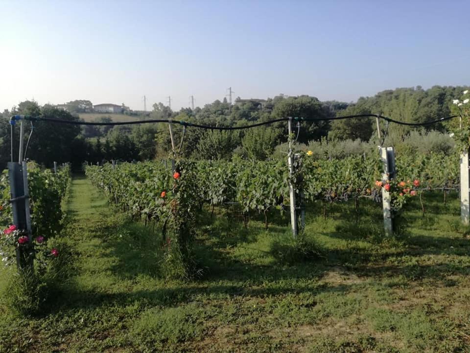 Il Casale Di Lucullo Ferienhaus